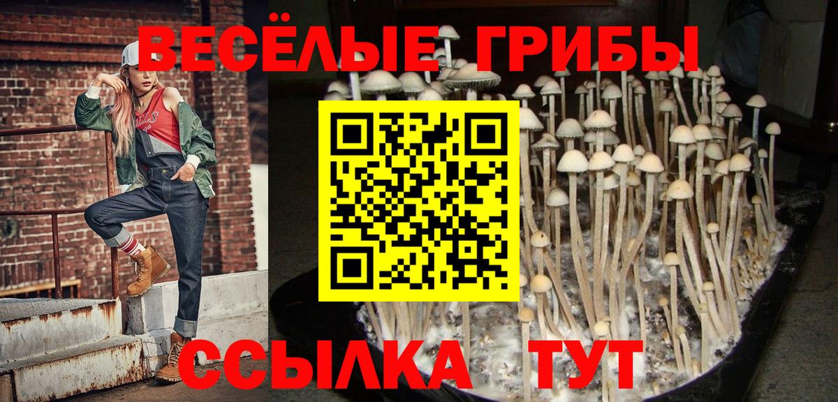 Пыть-Ях  Псилоцибиновые грибы MAGIC MUSHROOMS  магазин продажи наркотиков  Вход с VPN 