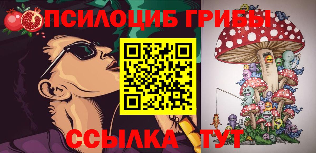 Галлюциногенные грибы Psilocybe Пыть-Ях